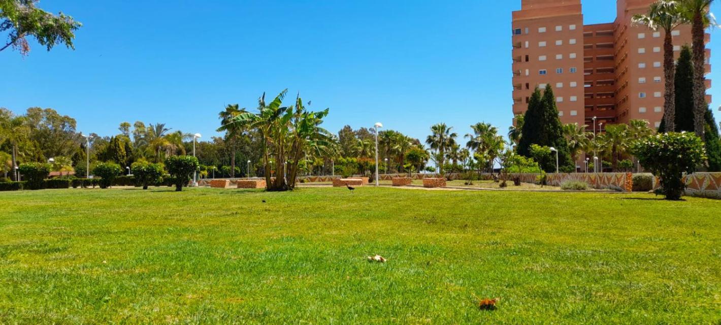 Costa Caribe II Nº 1028 Apartment Oropesa del Mar Exterior photo